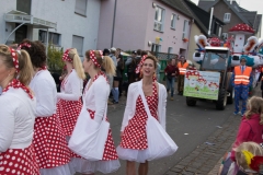 20170218-152319-NIKON-D5300