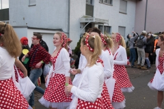 20170218-152322-NIKON-D5300