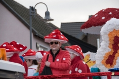 20170218-152420-NIKON-D5300