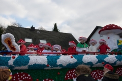 20170218-152432-NIKON-D5300