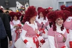 20170218-154501-NIKON-D5300