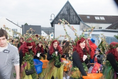 20170218-155712-NIKON-D5300