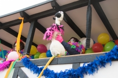 20170218-161307-NIKON-D5300