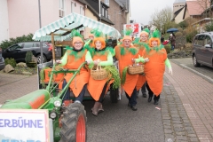 20180203-153046-NIKON-D5300