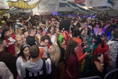 DSC_0087.jpg-nggid0510174-ngg0dyn-0x360-00f0w010c010r110f110r010t010